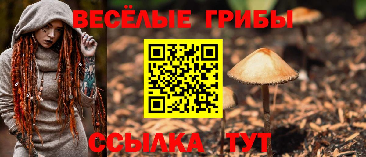 Невинномысск  цена   Вход с VPN  Галлюциногенные грибы мухоморы 